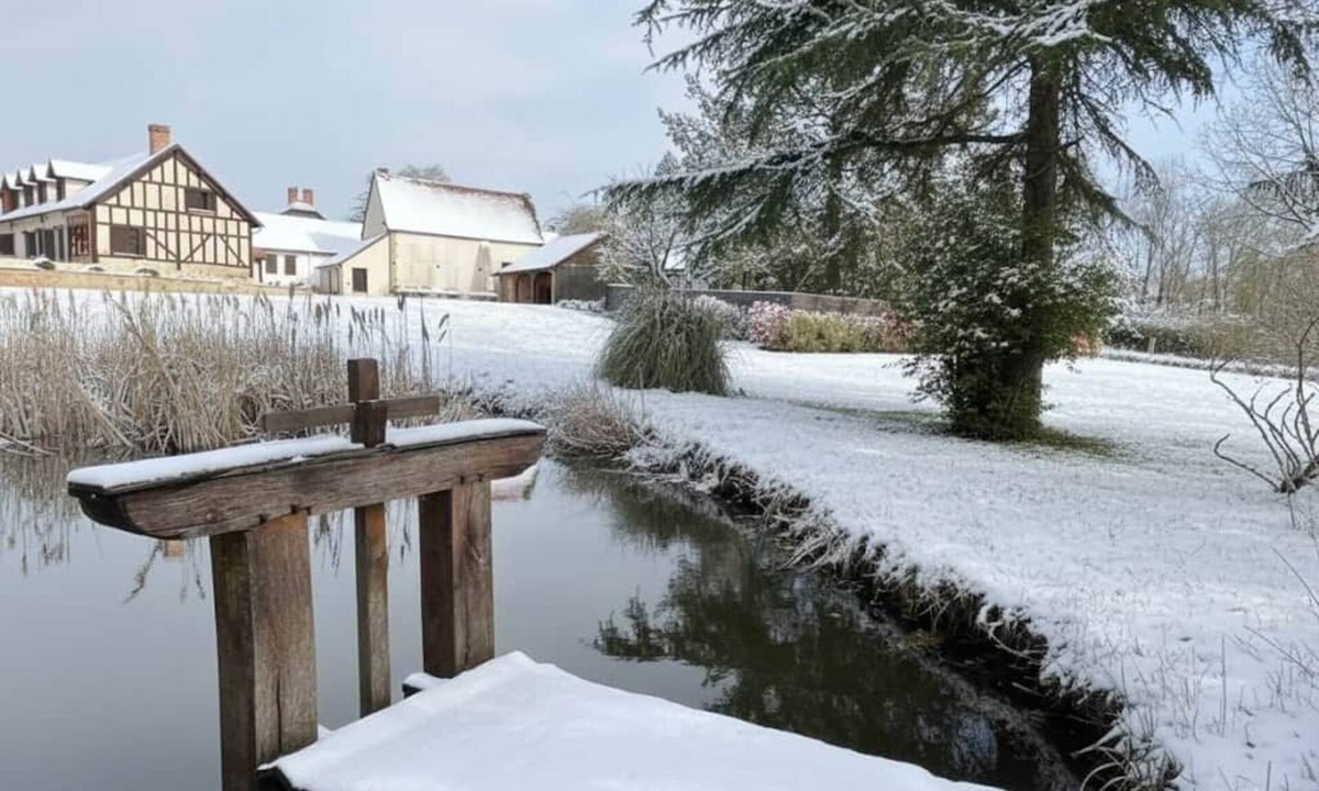 Montrieux-en-Sologne House | Superb property in Sologne