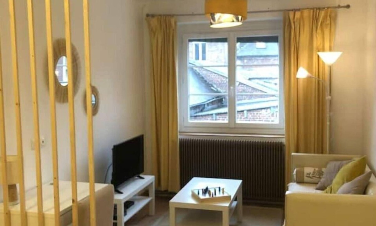 Crepy-en-Valois Apartment | Superbe Appartement en Plein Centre-ville de Crépy