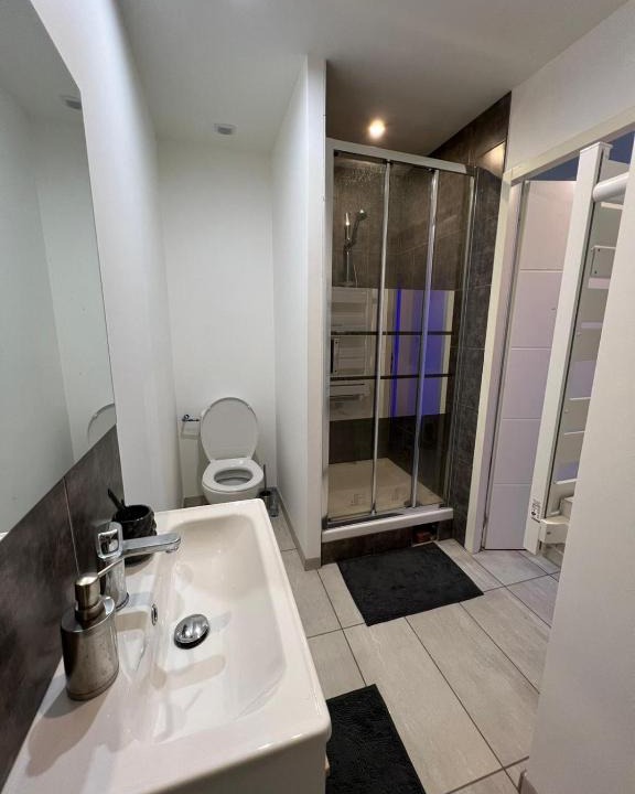 Roanne Apartment | Superbe appartement
