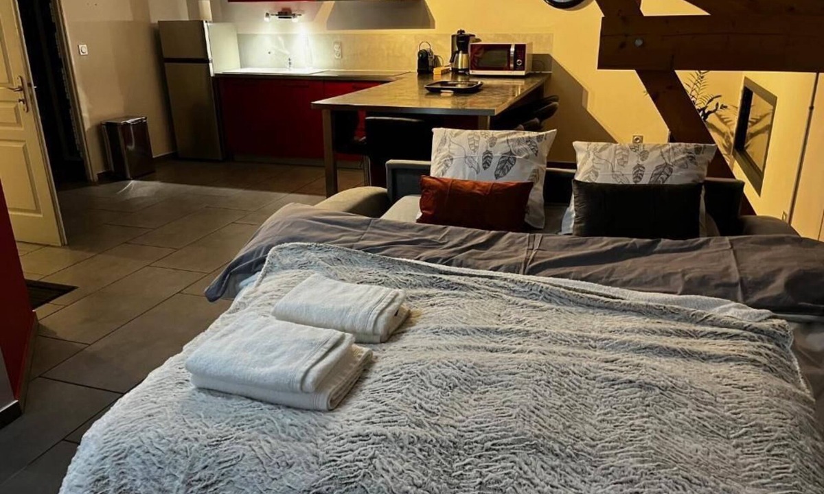 Massieu Apartment | Sur le Chemin des Estives - studio