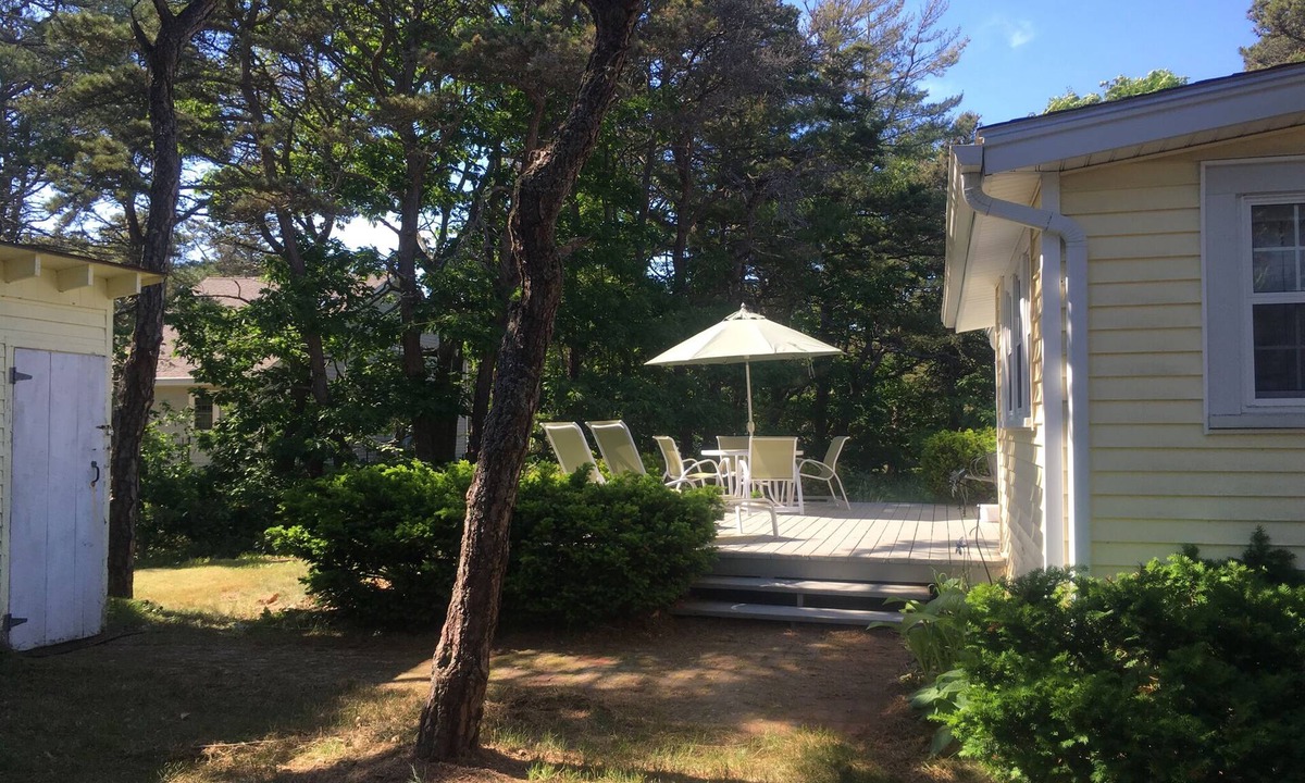 Phippsburg Cottage | Surf and Seabirds!