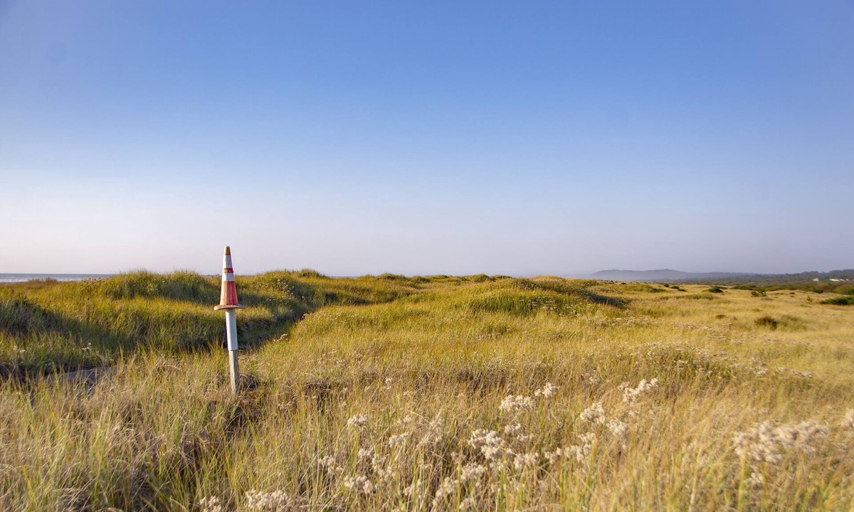 Ocean City Resort | Surfcrest Resort - 26 beautiful beachfront acres