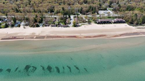 Oscoda House | Surfside 13 - Cute Lakefront Condo!