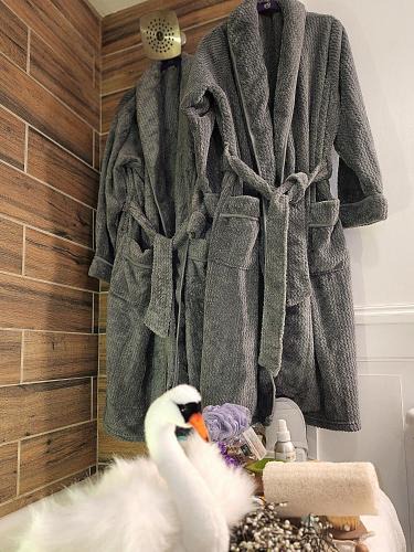 Limekiln Apartment | Swansanctuarysuite Apt At sanctuaryoftheswan