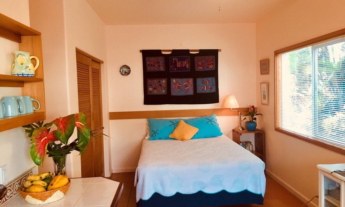 Hilo Apartment | Sweet and Cozy Hilo Studio - New listing