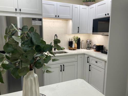 Arlington Apartment | Sweet Scape Jax