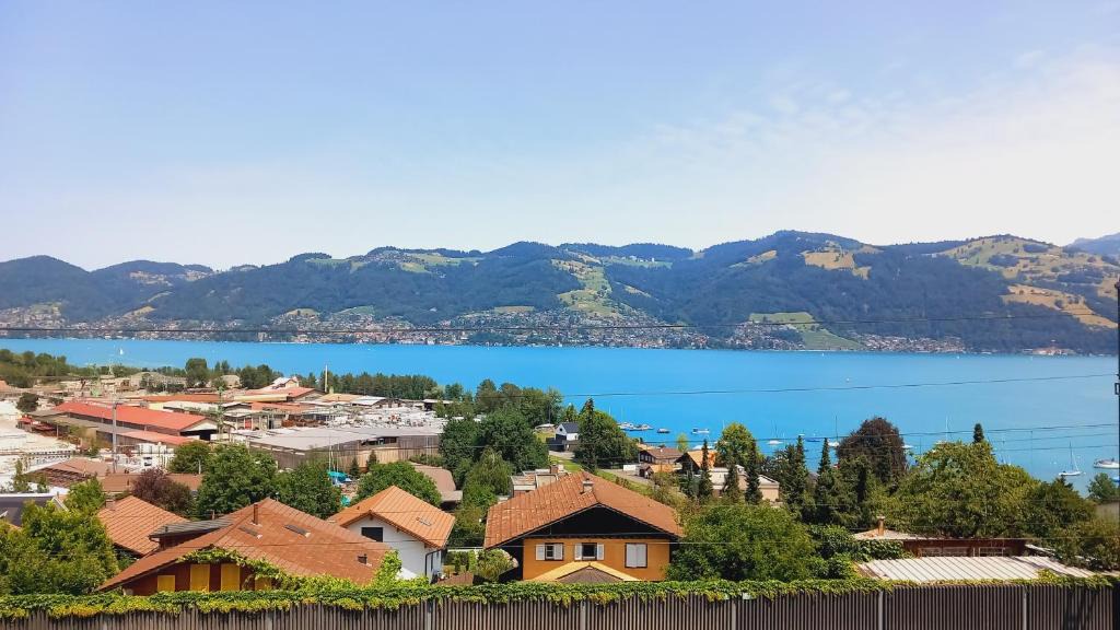 Einigen Apartment | Swiss Apartment Thunersee
