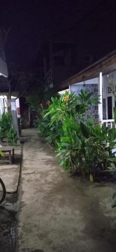 Gili Trawangan House | Syifa Homestay