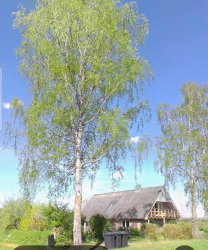Skanderborg Bed & Breakfast | Tåning Bnb
