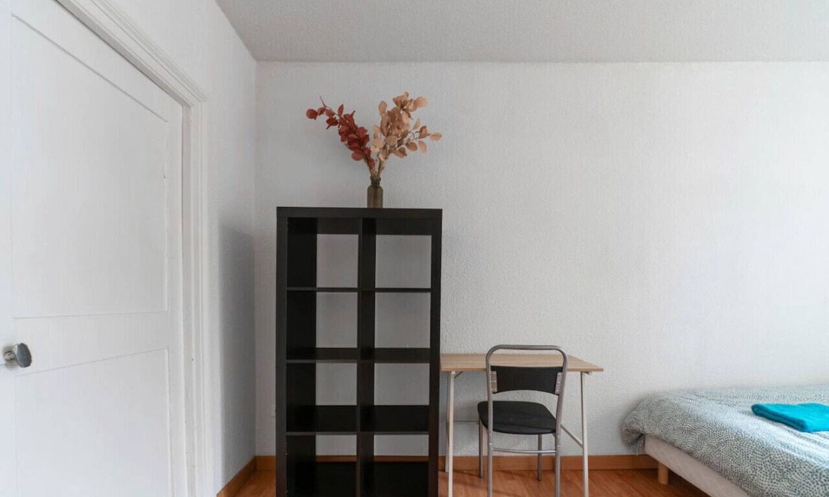 Clermont Ferrand City Centre Apartment | T1 cocooning with terrace