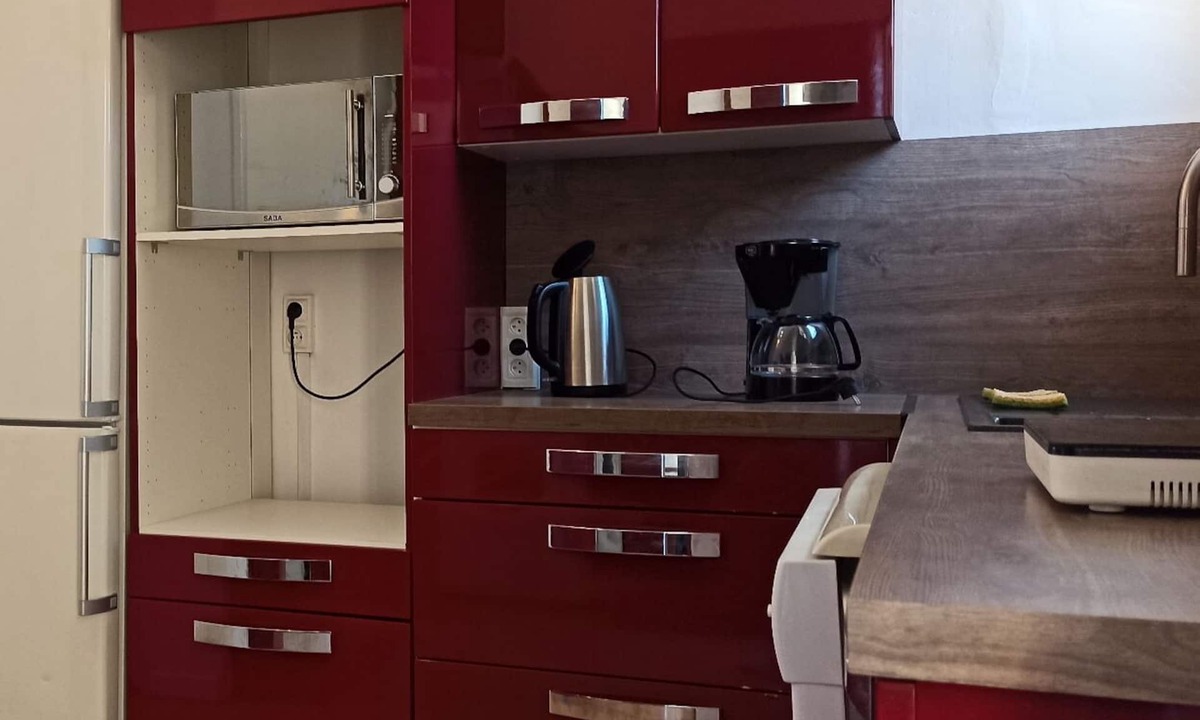 Fer a Cheval Apartment | T2 40 m² terrace Saint-Cyprien fitted kitchen