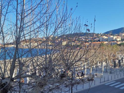 Banyuls-sur-Mer Apartment | T3 à 50m de la plage, climatisé, Banyuls-sur-Mer - FR-1-309-9