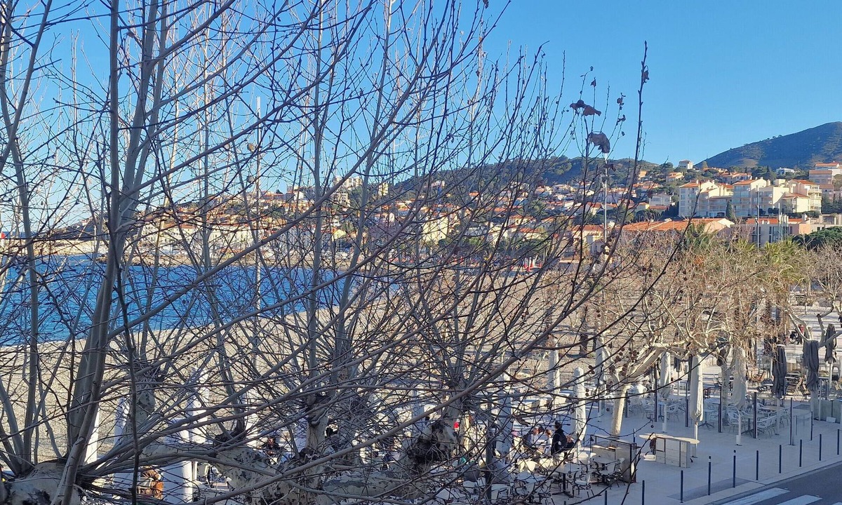 Banyuls-sur-Mer Apartment | T3 50m from beach, air-conditioned, Banyuls-sur-Mer