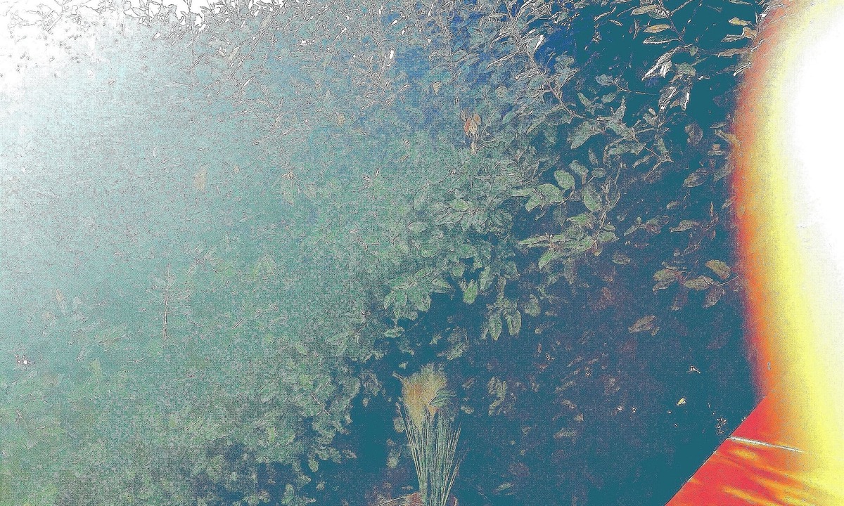 Castelnau-d'Estretefonds Apartment | T3 swimming pool jacuzzi