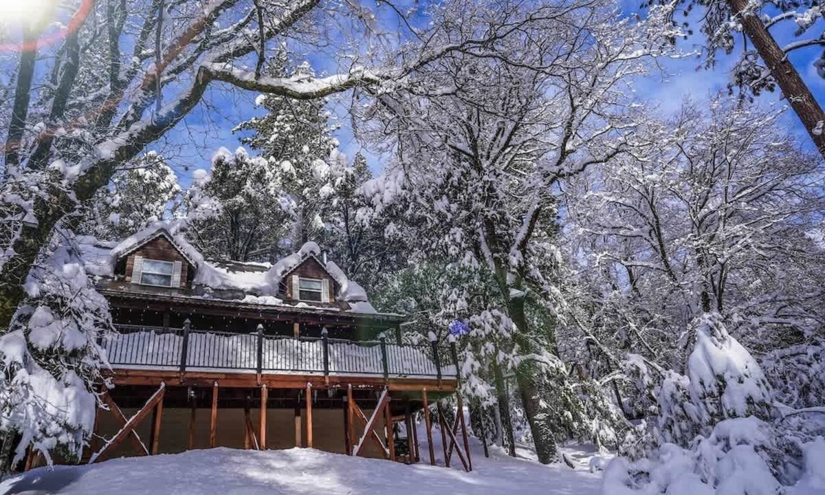 Kyburz Cabin | ♥ Tahoe Retreat Cabin, Tesla EV, Forest Escape