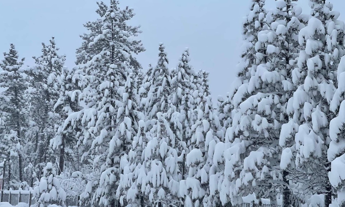 South Lake Tahoe Hotel | Tahoe Sands Inn