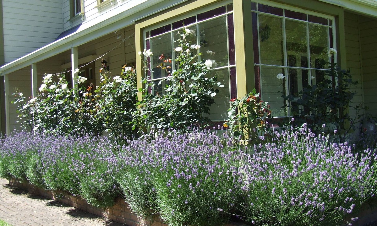 Hawera Cabin | Tairoa Lodge & Cottage