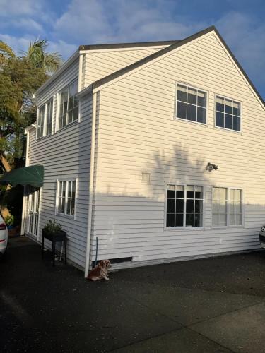 Takapuna House | Takapuna loft