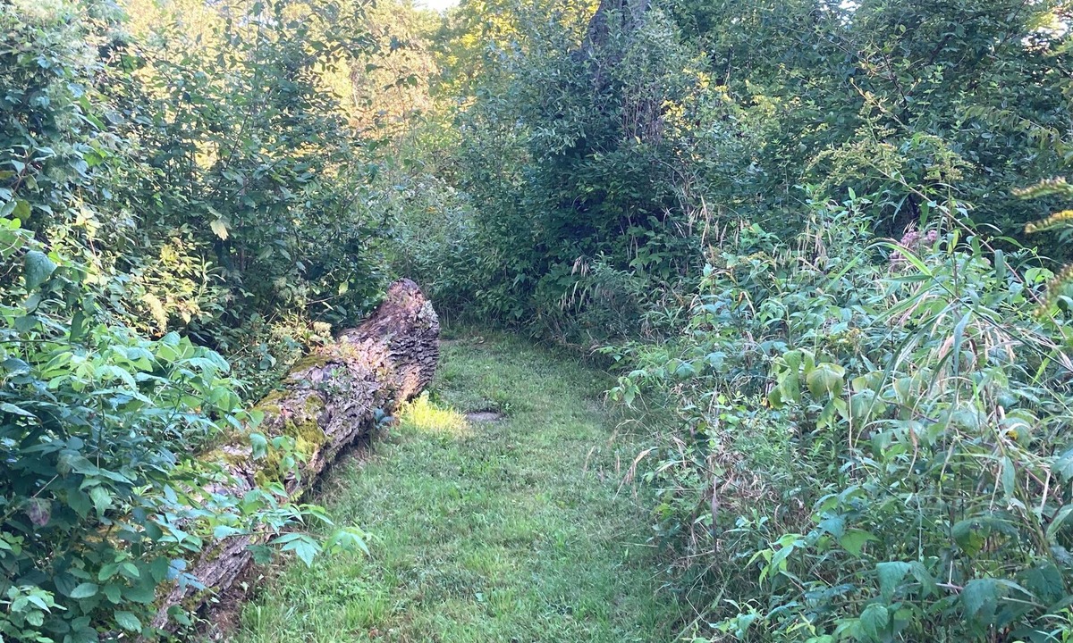 North Yarmouth Cabin | Take Me Tenting nBrookside Site