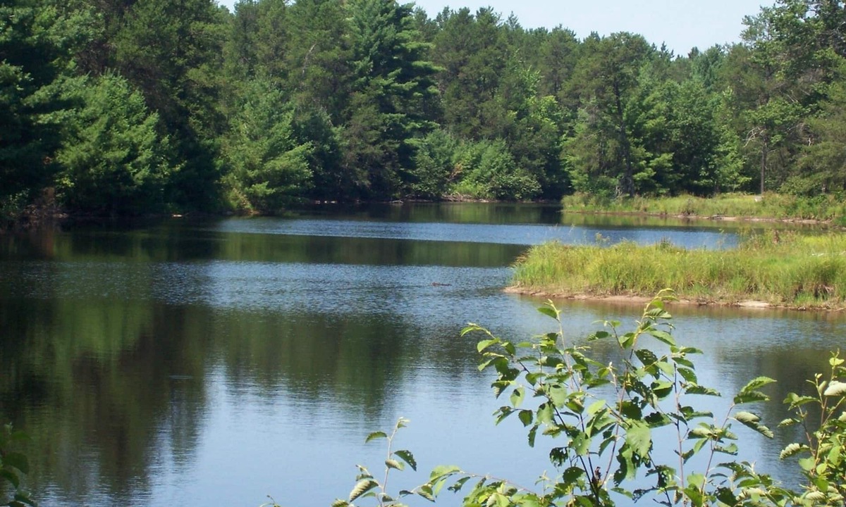 Black River Falls House | Tall Pines Lodge- Cottages On Serenity Lake- Sitting on 80 Acres Of Wildlife!