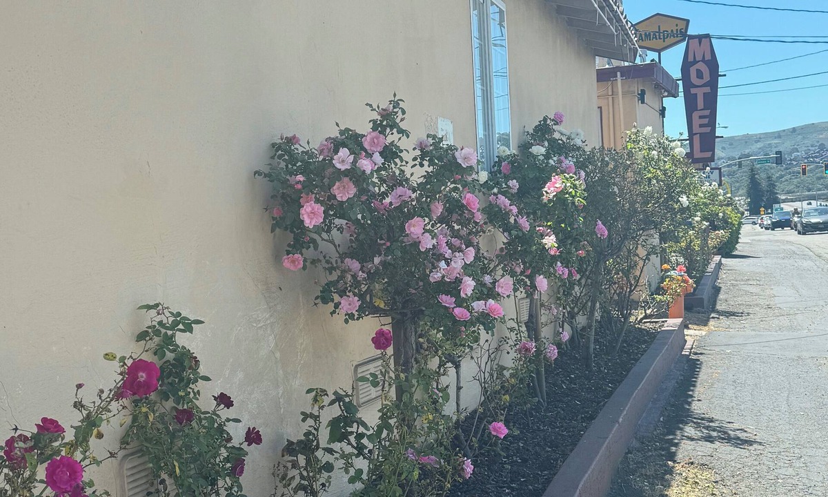 Strawberry Hotel | Tamalpais Motel