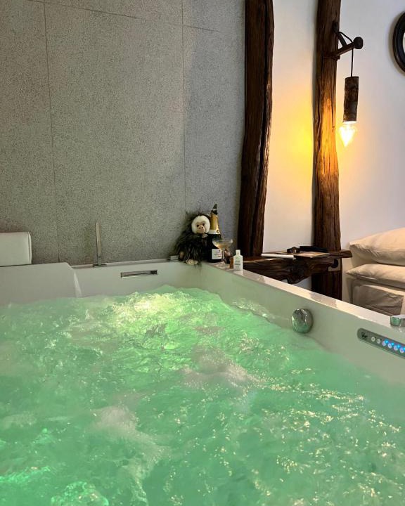 Aubagne Hotel | Tamarin & Capucin Suite Balnéo