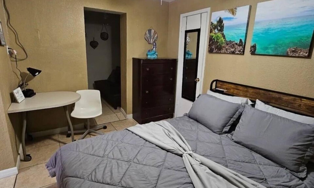 Bearss Plaza Apartment | Tampa Highland, Near Bush Gardens, Adventure Island, USF & Downtown Tampa
