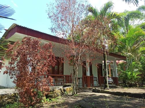 Marinsow House | Tangkoko Jungle Homestay