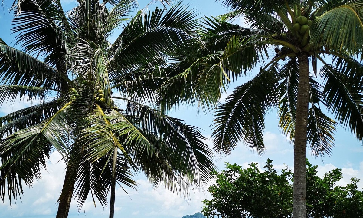 Air Hangat Hotel | Tanjung Puteri Motel