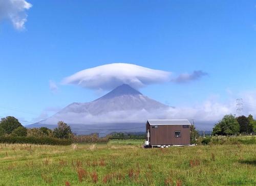 Midhirst House | Taranaki Creekside TUI by Tiny Away