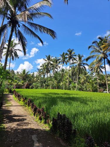 Taro House | tarotours accommodation