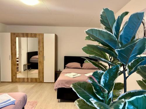 St. Gallen Apartment | tas24ch Travel and Sleep 24