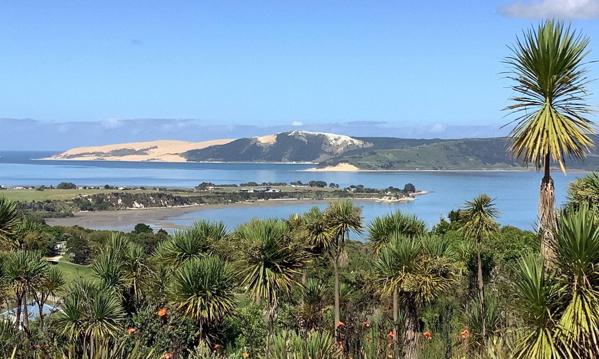 Whirinaki Apartment | Te Ahuru Mowai - The Safe Haven