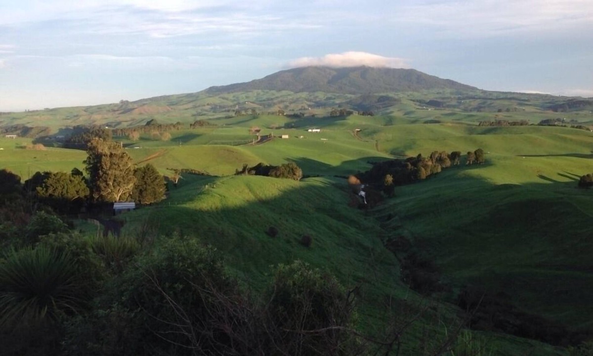 Raglan House | Te Mata Rural Escape