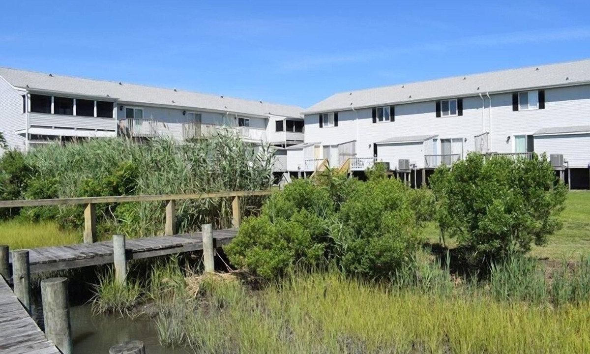 Deep Hole House | Teal Away- Amazing Views, Kayaks, Shared Pier