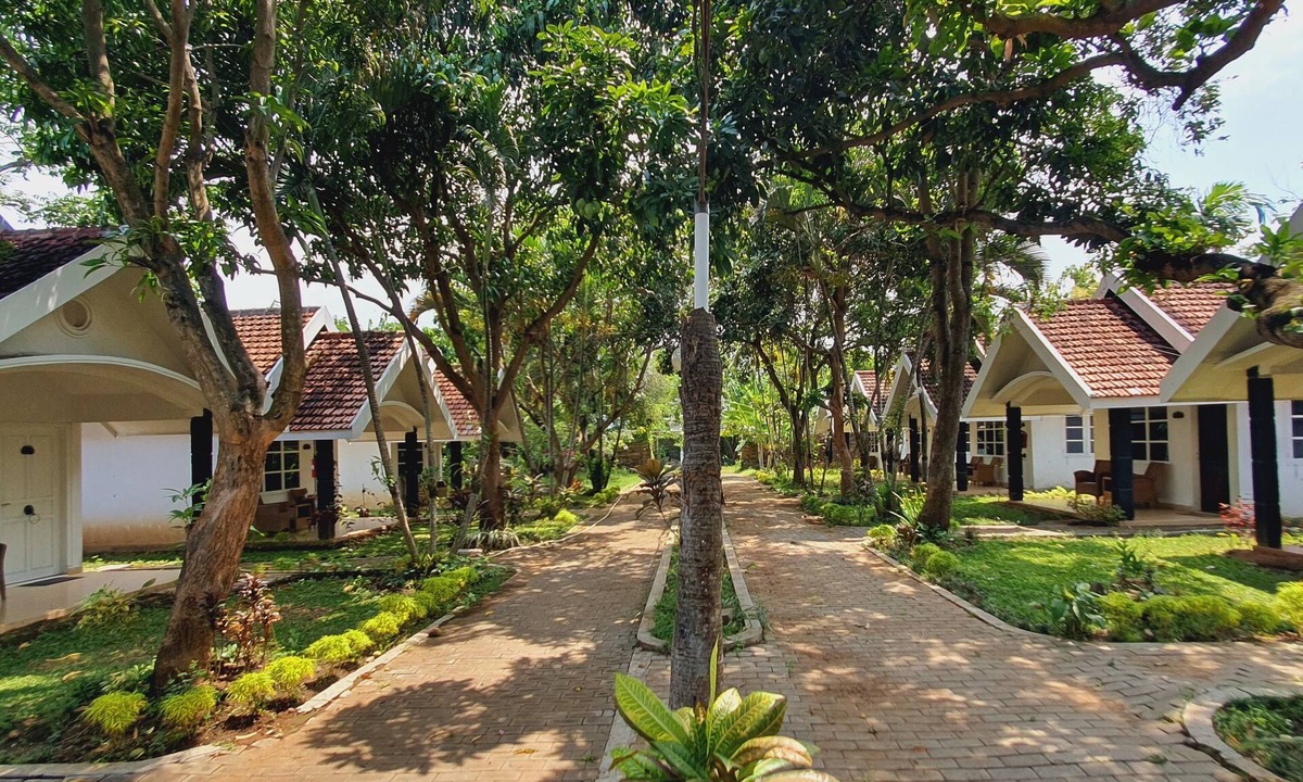 Tosari Hotel | Tengger Guest House