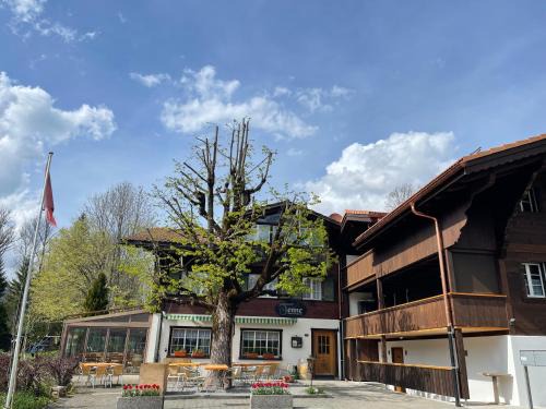 Lenk Hotel | Tenne Lenk - Gasthof & Hotel