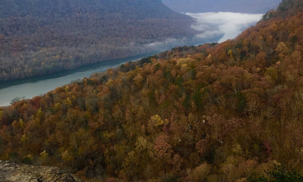 Chattanooga Condo | Tennessee's Grand Canyon! 10 Min From Downtown Chattanooga!