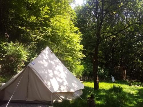 Burzet Other | Tente Tipi en plein cœur d'une forêt