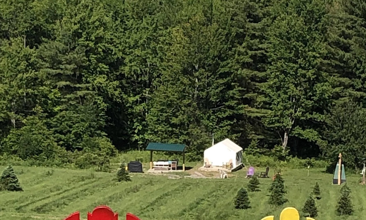 Harpursville RV Rental | Tentrr Signature Site - High Meadow Tree Farm