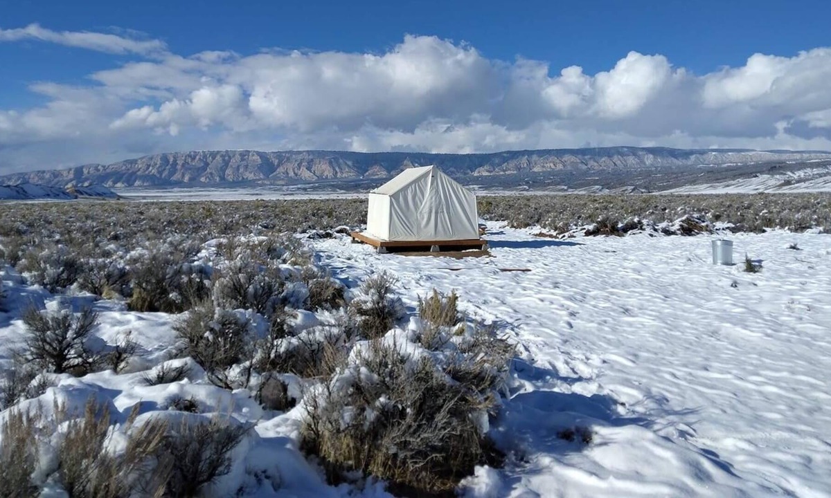 Dinosaur RV Rental | Tentrr Signature Site - The Permaculture Paradise Ranchette