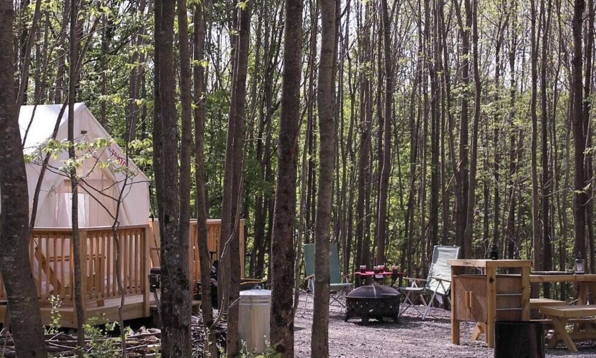 Hartwick RV Rental | Tentrr Signature Site - "Simplistic"