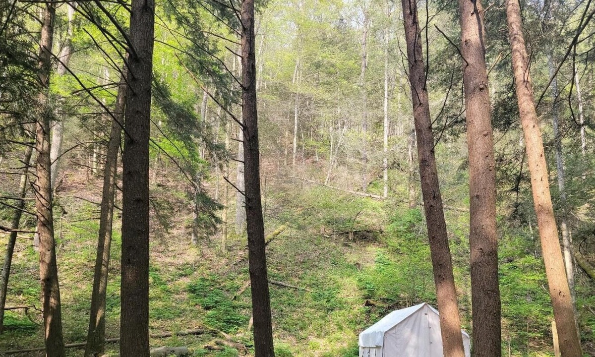 Swanton RV Rental | Tentrr State Park Site - Big Run State Park - Site A