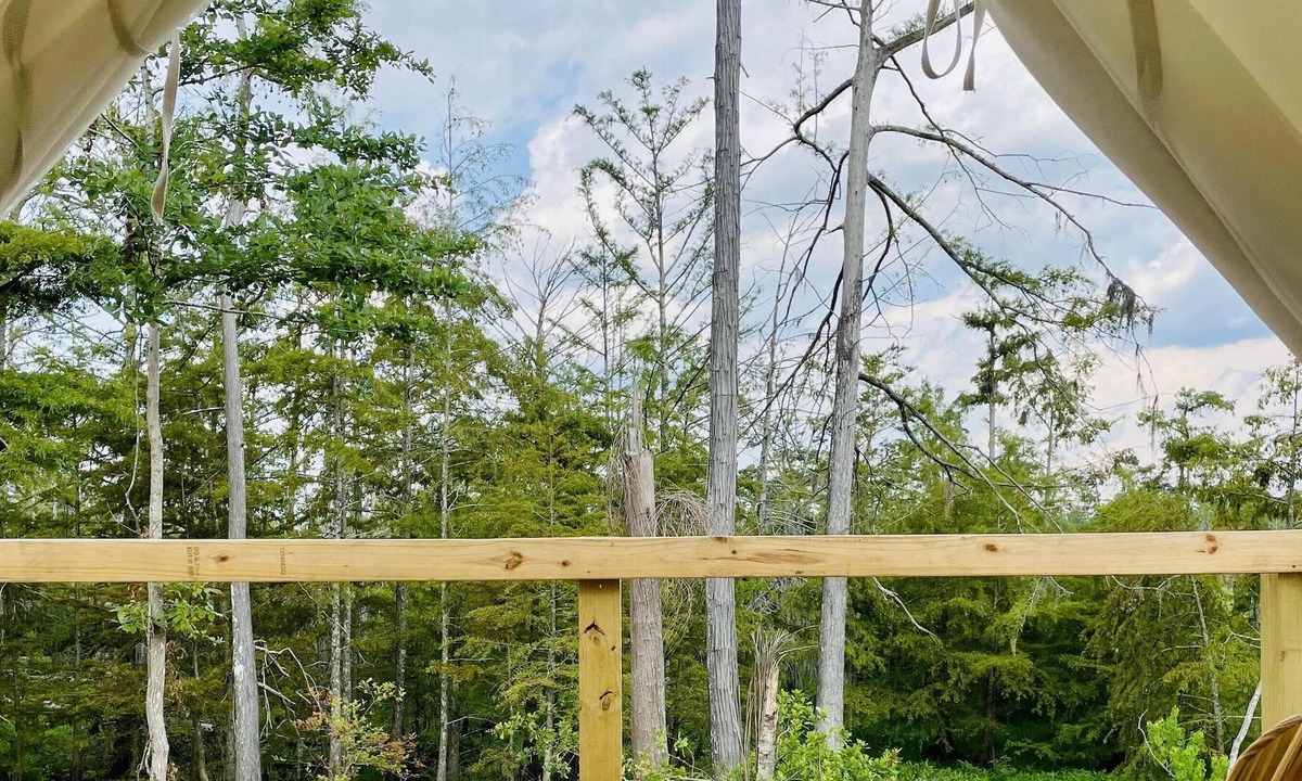 Lake Charles RV Rental | Tentrr State Park Site - Louisiana Sam Houston Jones State Park - Lagoon View C