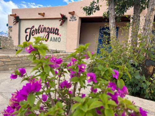 Study Butte-Terlingua House | 'Terlingua Te Amo'