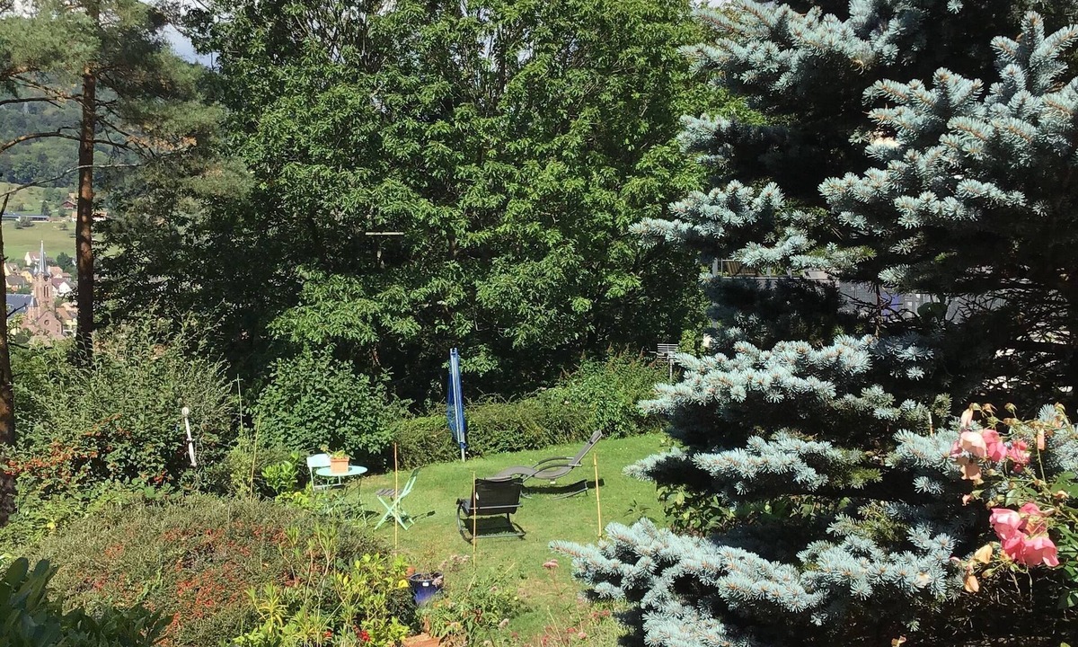 Lapoutroie Cottage | Terrace and garden with mountain views