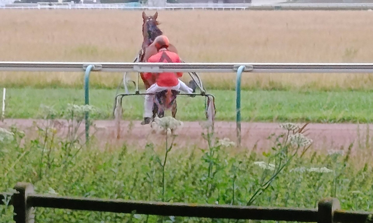 La Demi-Lune Apartment | Terrace apartment