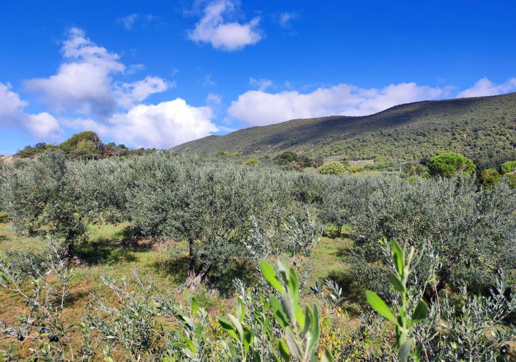 Nyons Apartment | Terre de Lumière 3