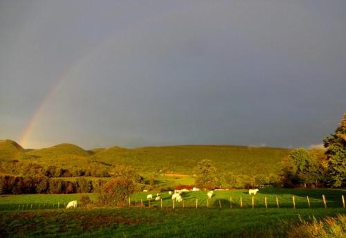 Treffort-Cuisiat Bed & Breakfast | Terres de la Grange B&B