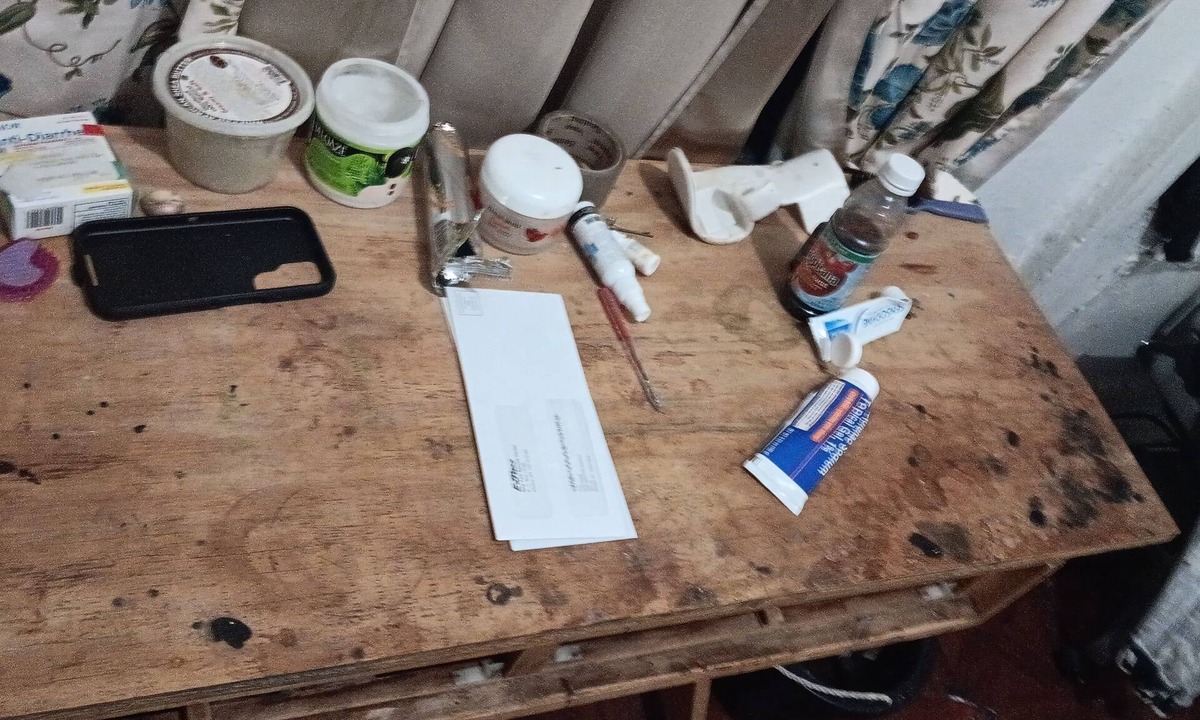 Tremont Apartment | Terrific apartment with AC in The Bronx